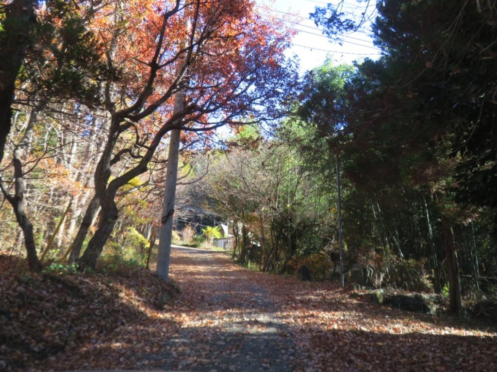 現地の少し手前、急な上り坂です