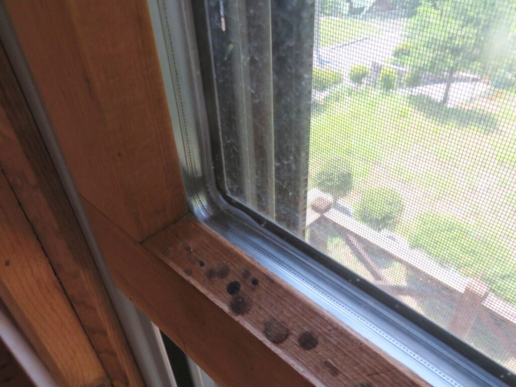 輸入窓はガラスもしっかり