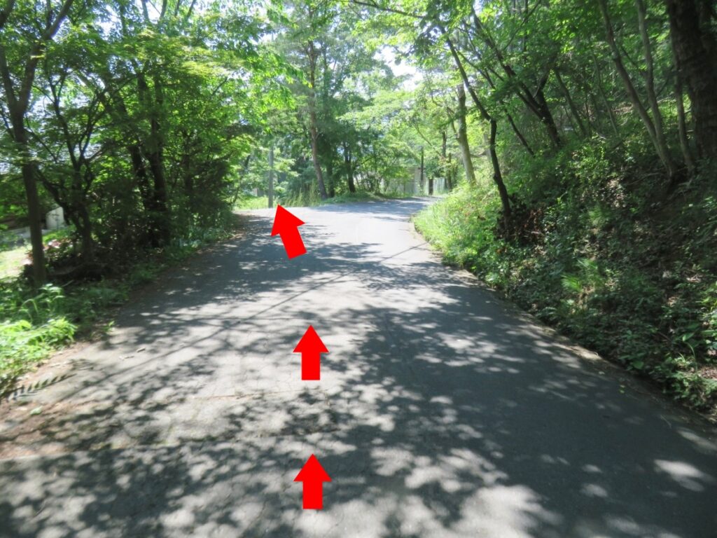 芦ヶ久保方面からはここを左斜めへ
