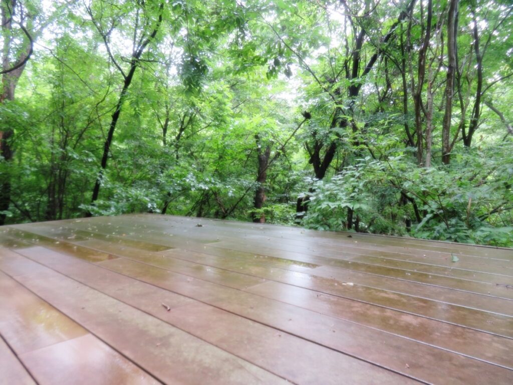 雨の日も趣があります。