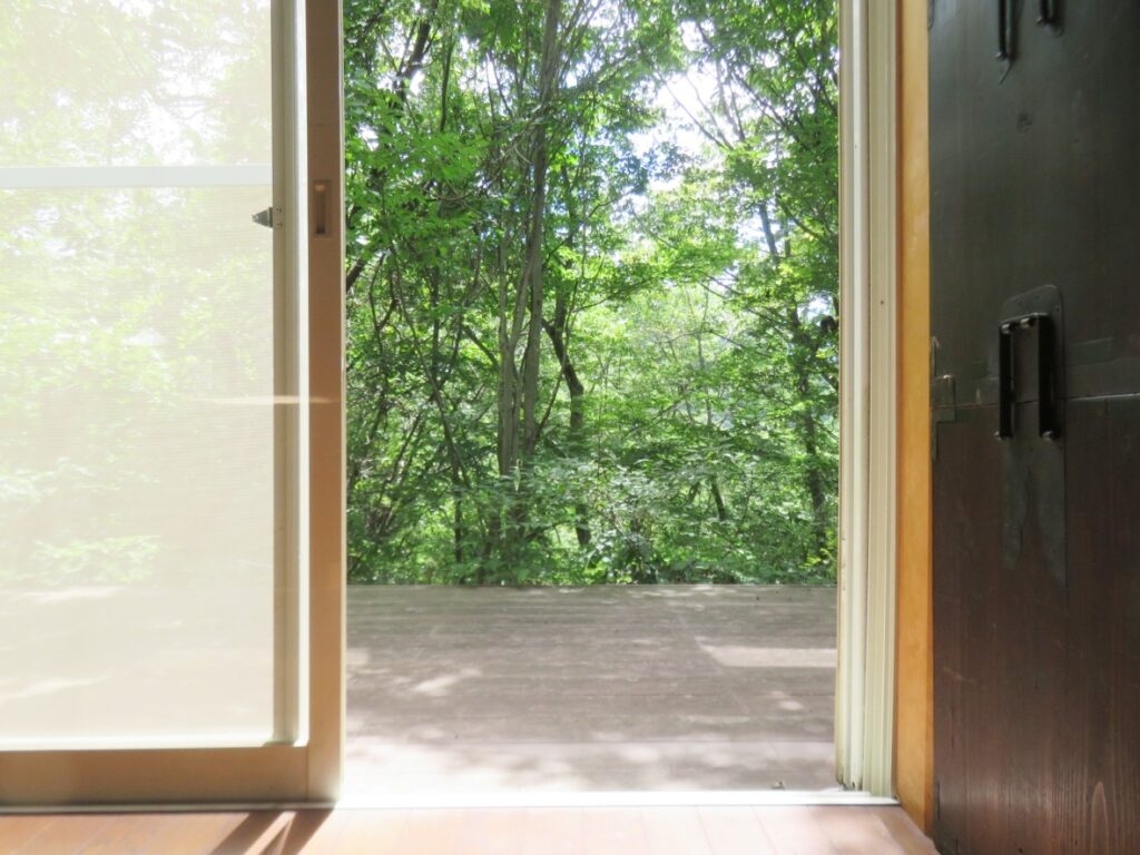 掃き出し窓の外には