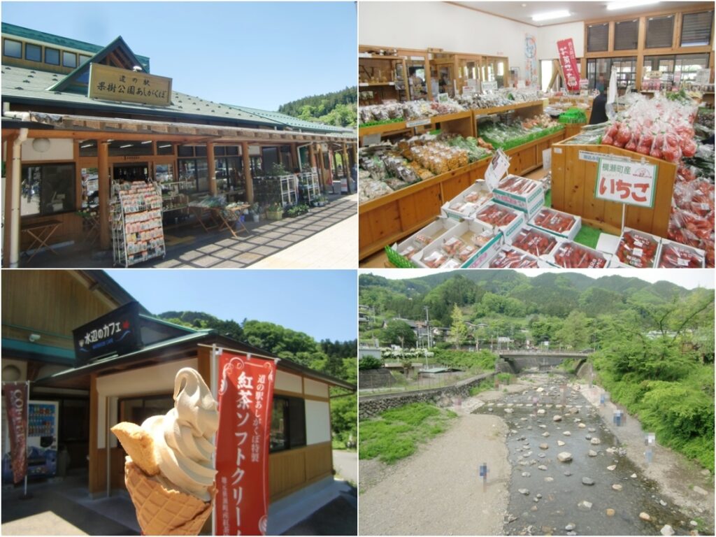 道の駅 果樹公園あしがくぼ