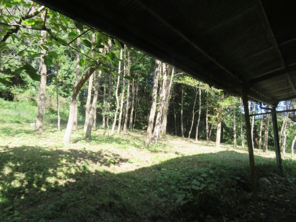 建物北側のお隣さんの土地