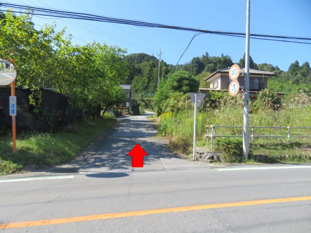この道を進んでください