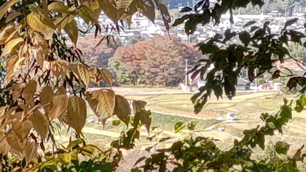 寺坂の棚田 眺望