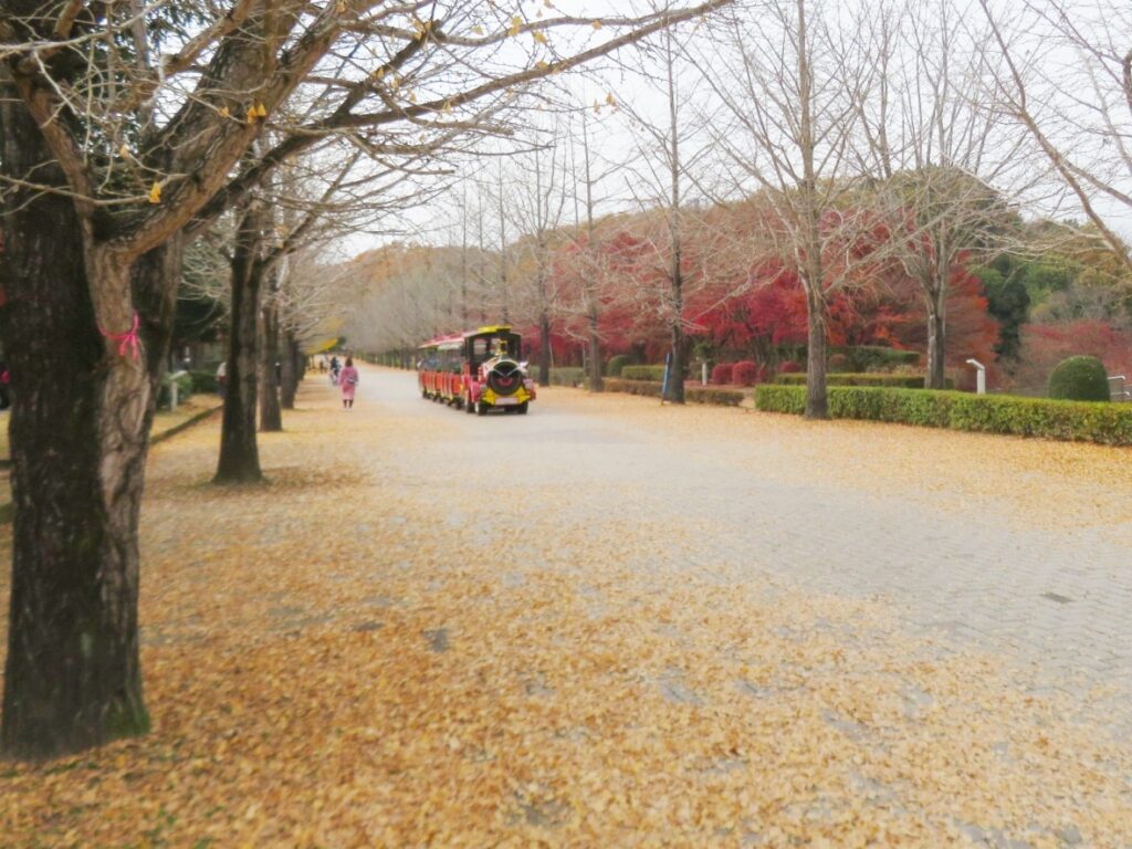 ミューズパーク