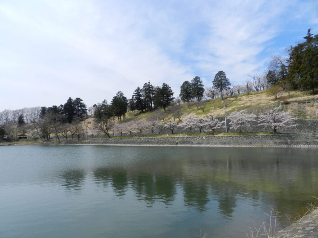 羊山公園