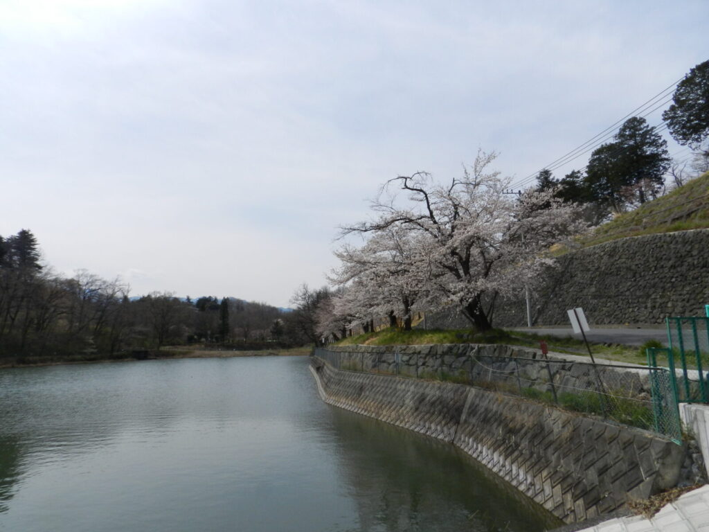 羊山公園