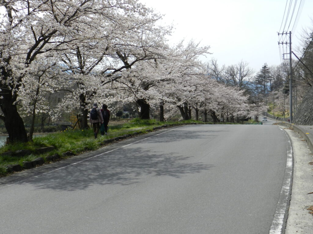 羊山公園