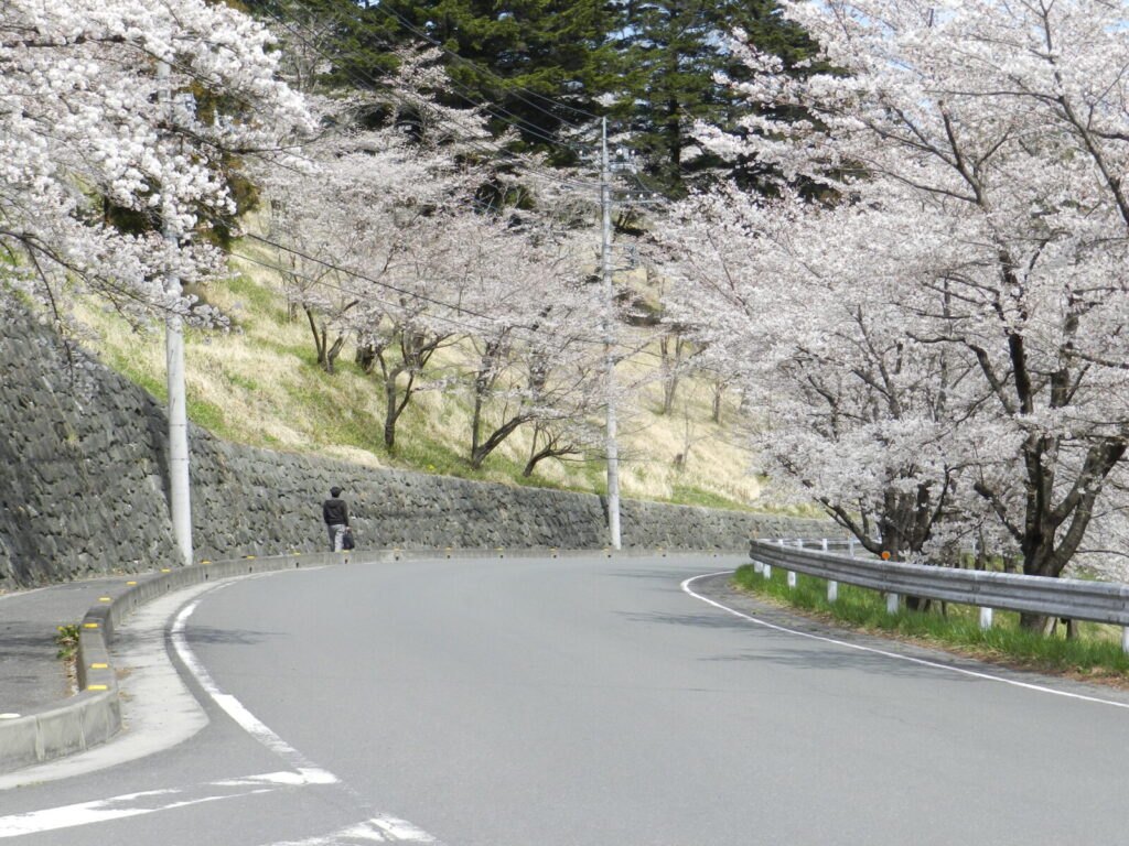 羊山公園