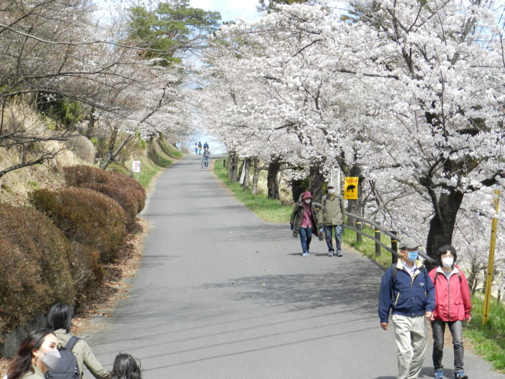 羊山公園