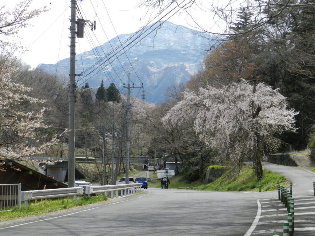 羊山公園
