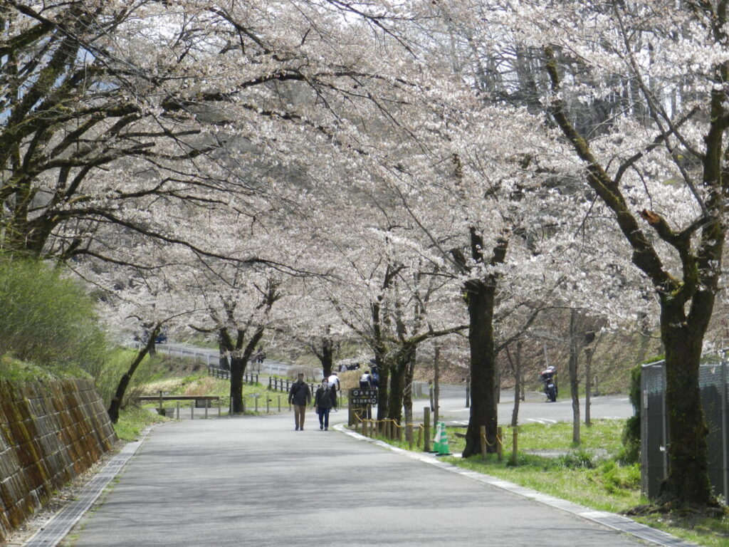 羊山公園