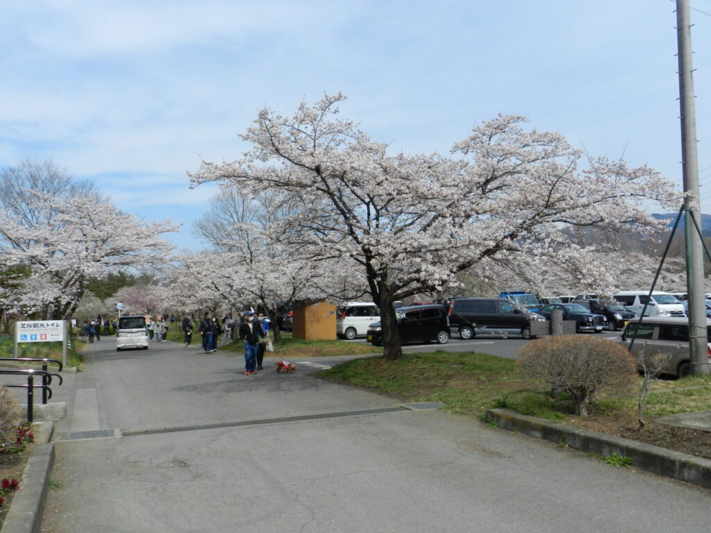 羊山公園