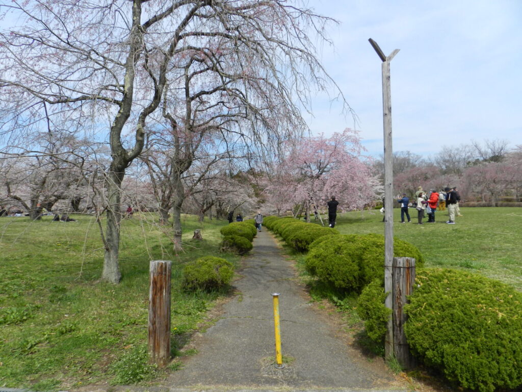 羊山公園