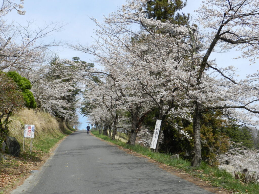 羊山公園
