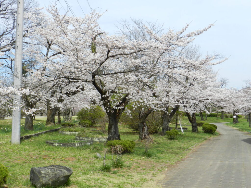 羊山公園