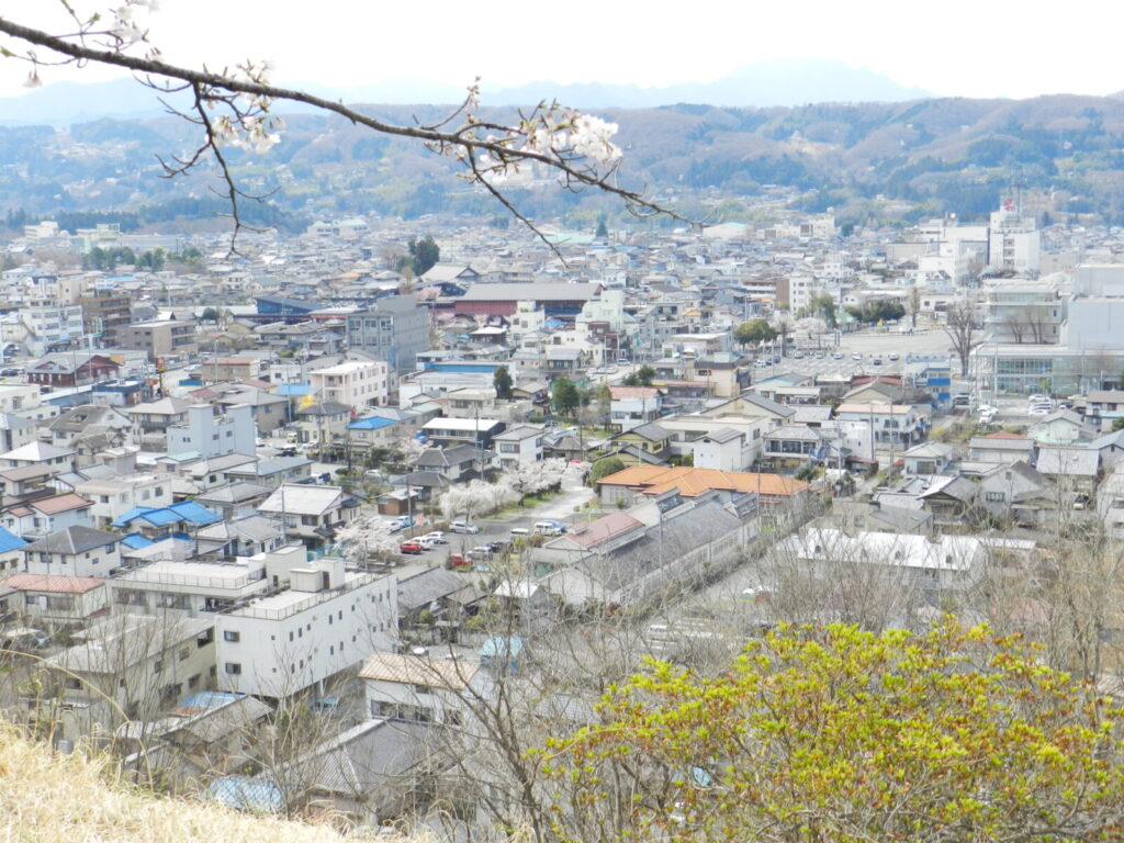 見晴らしの丘より秩父市街を望む
