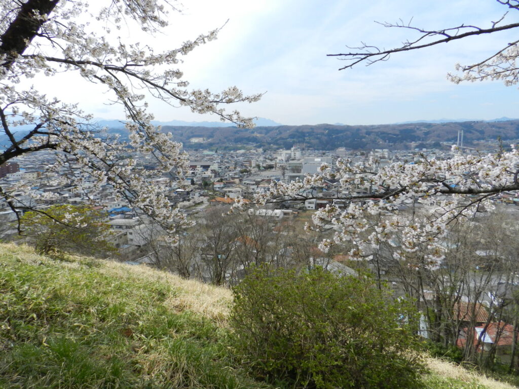 見晴らしの丘より秩父市街を望む