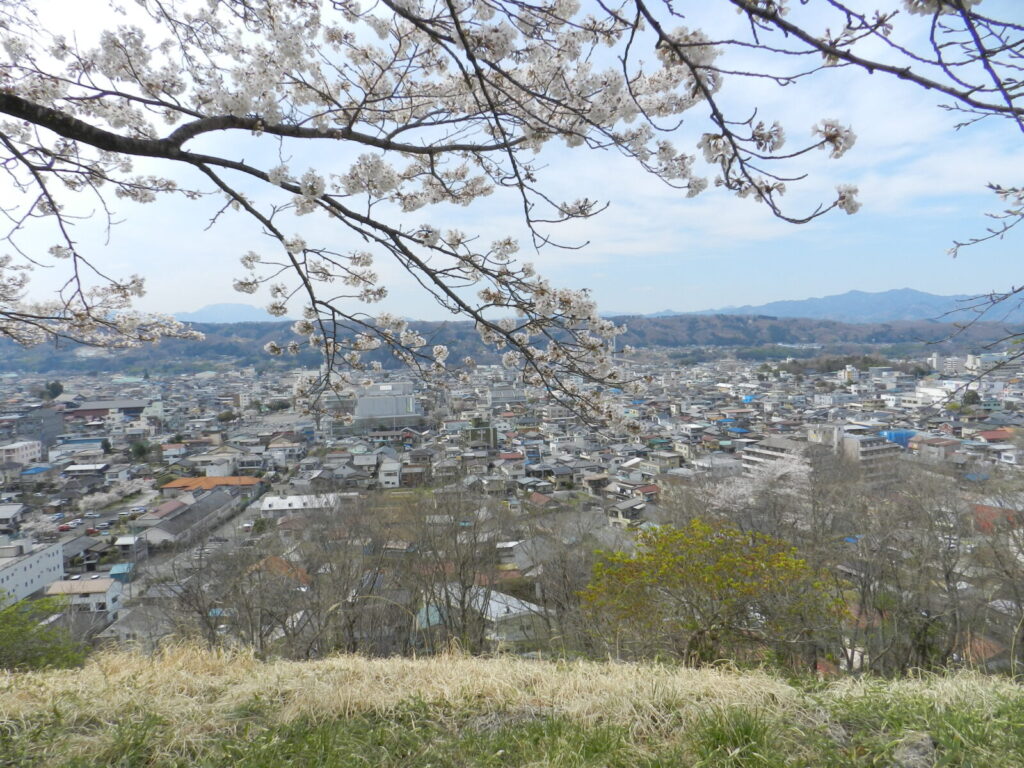見晴らしの丘より秩父市街を望む