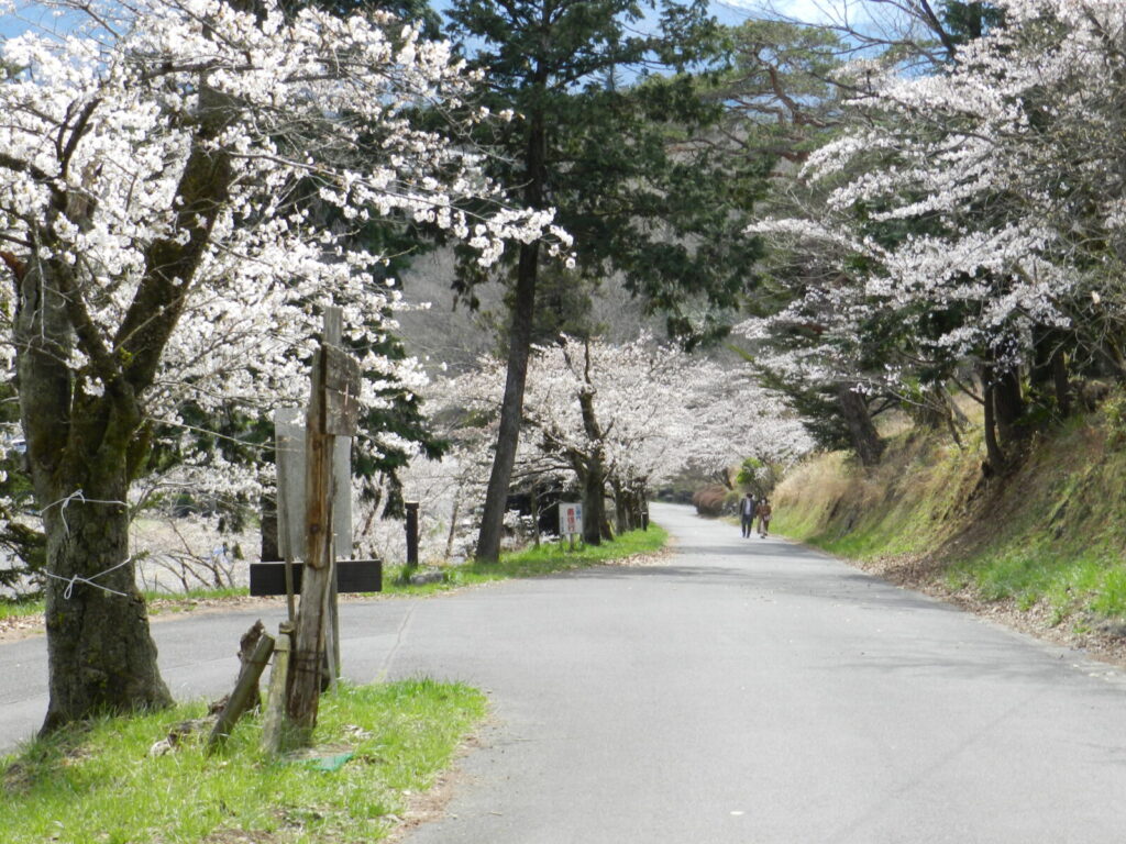 羊山公園