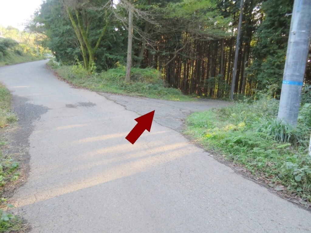 ここを右へ