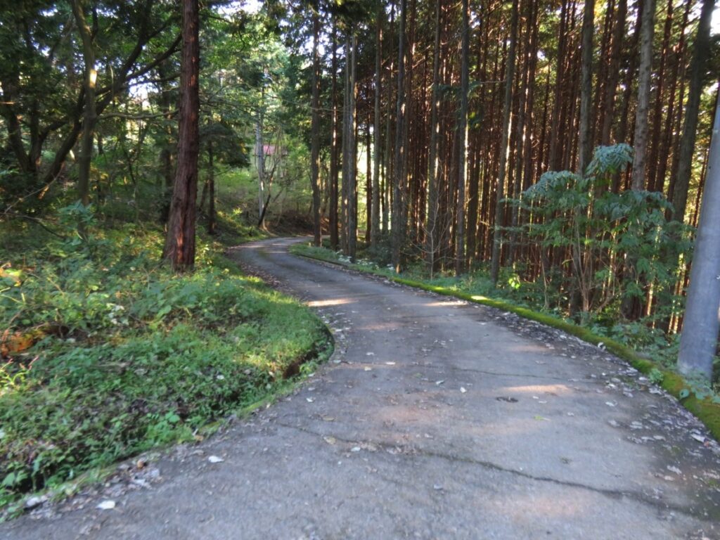 この様な道を下っていきます