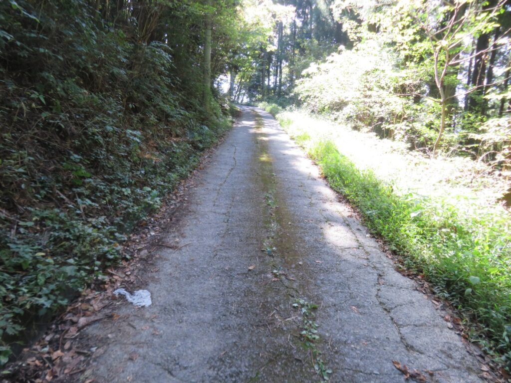 この様な道を上っていきます