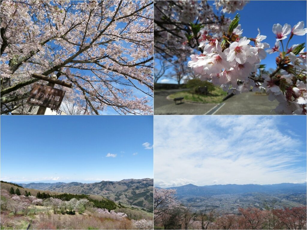 春の美の山公園