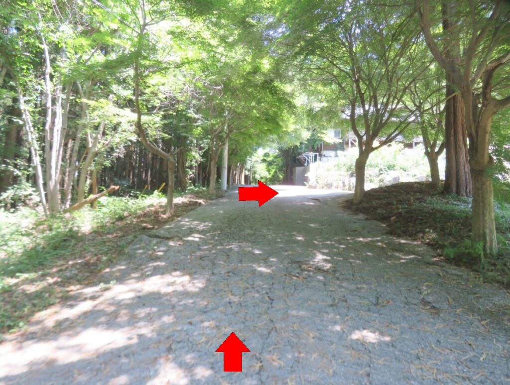 矢印の方へ