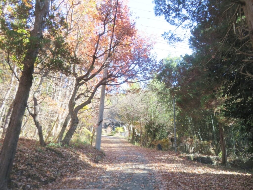 この場所、秋には