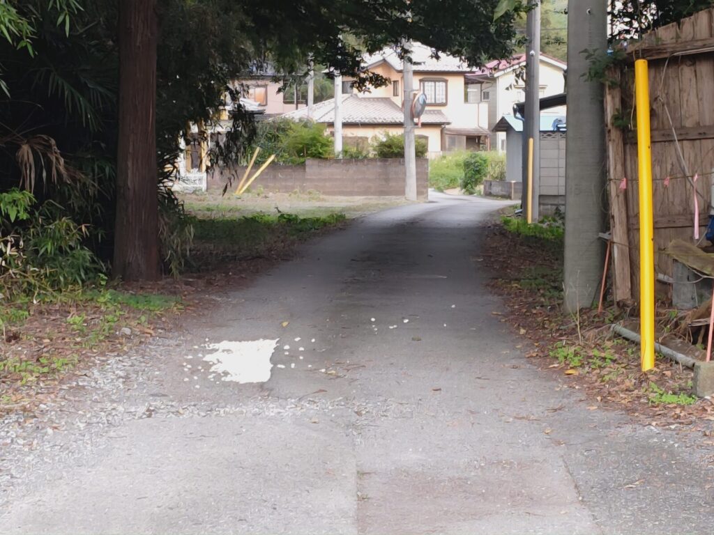 接道から外観