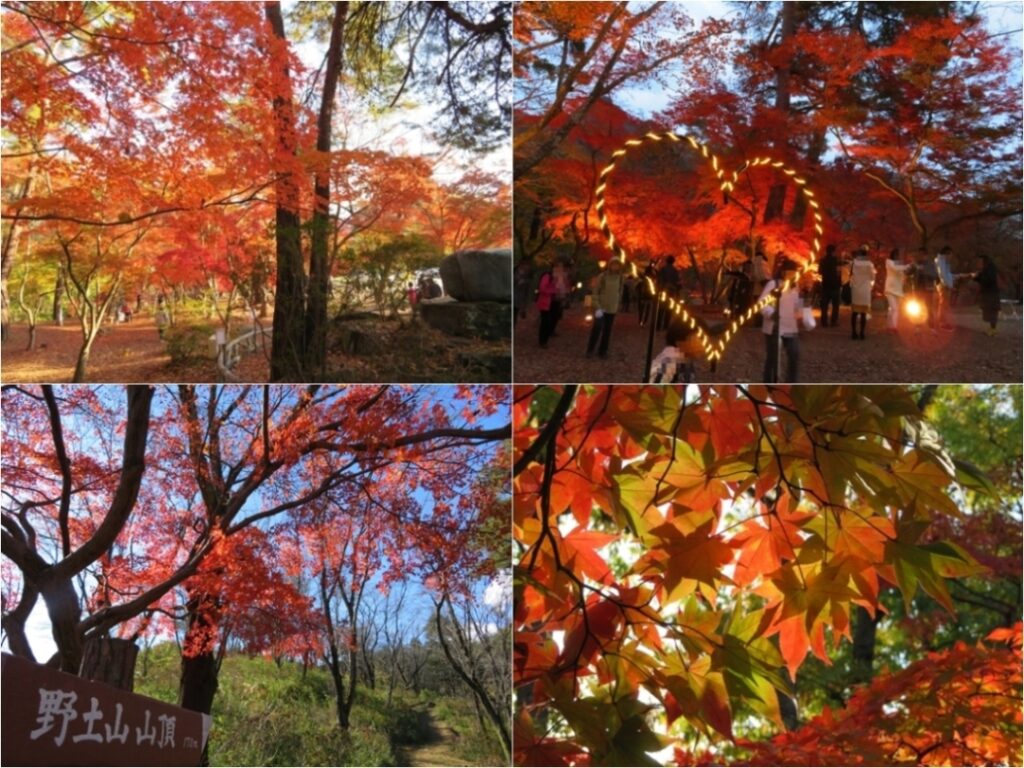 長瀞の秋