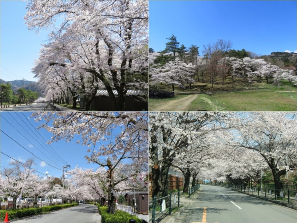 長瀞の春