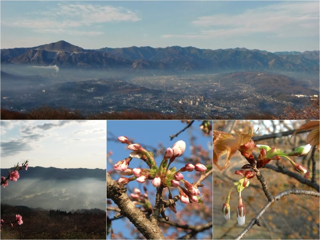 美の山公園から
