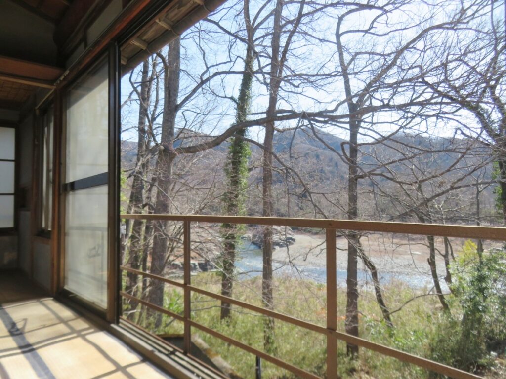 特等席ですね