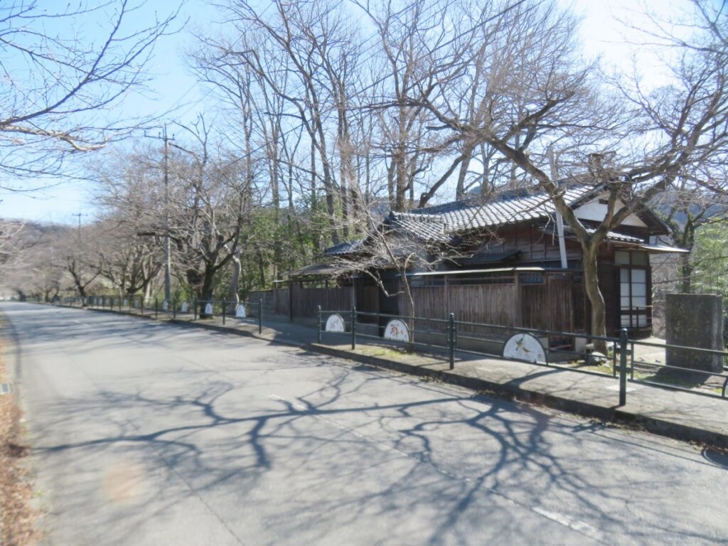 桜咲く前、3月