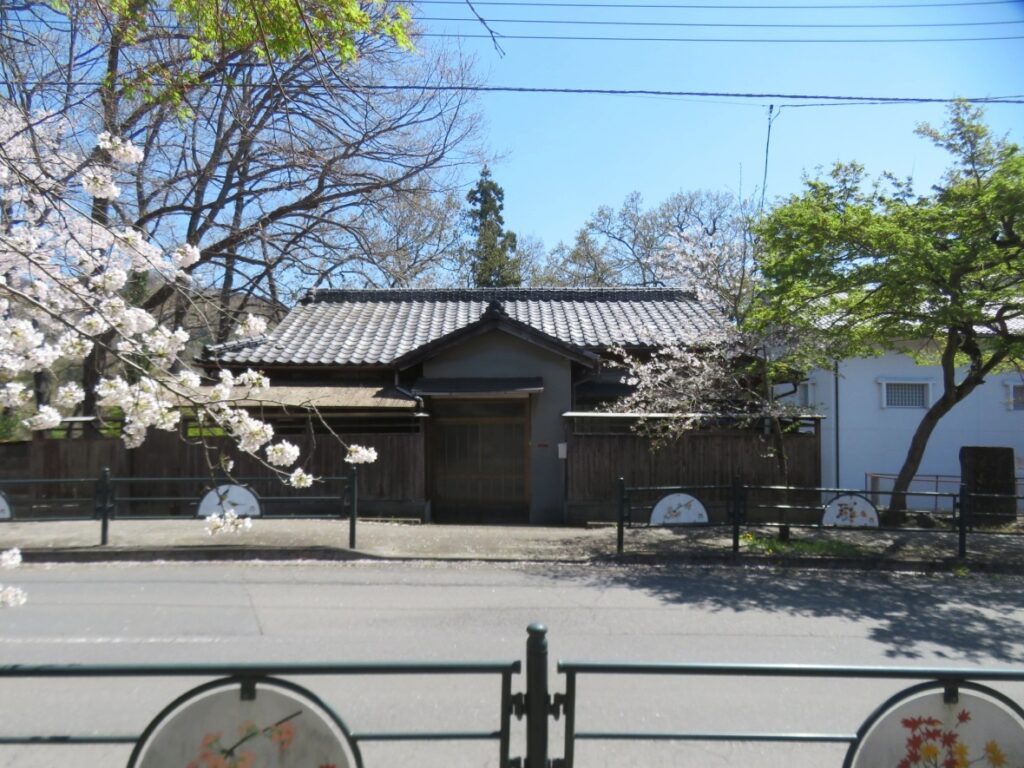 さくらともみじに