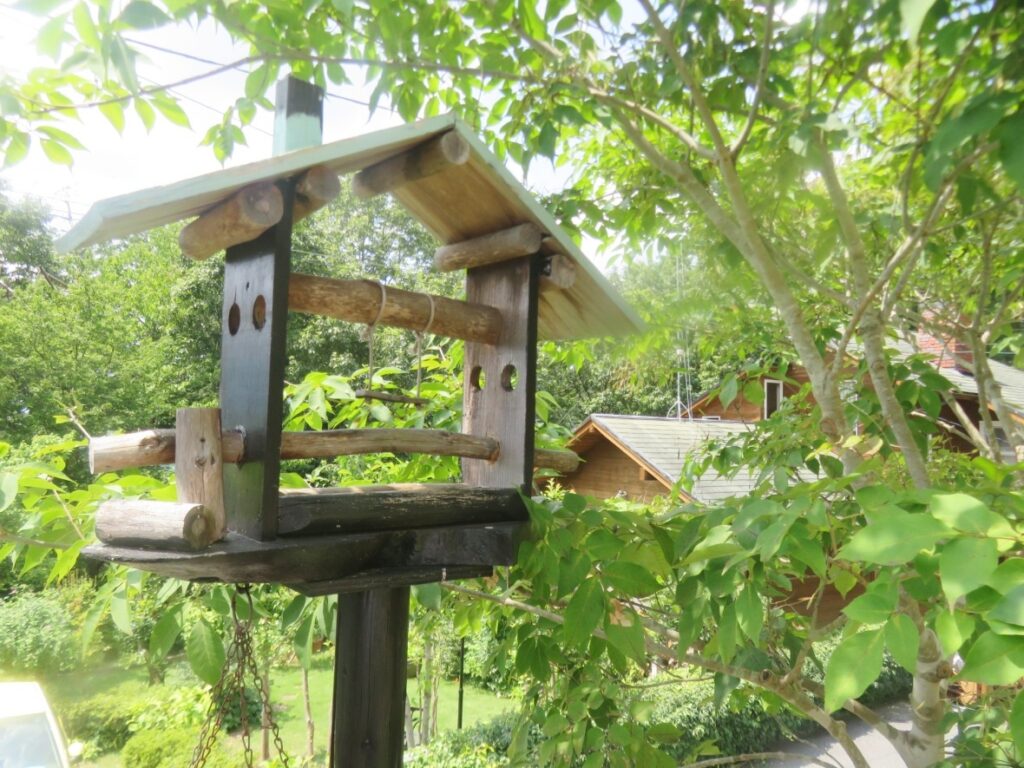 鳥さんも来ます