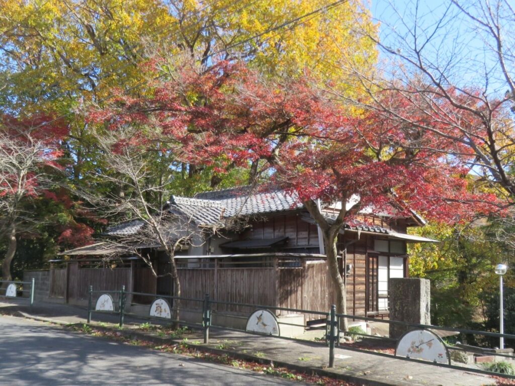秋、紅葉にかこまれて