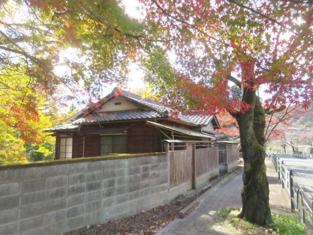 秋、紅葉に