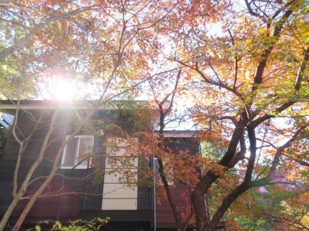 秋は紅葉にかこまれて